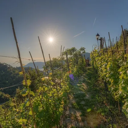 Ca Du Venuto 2 فيرناتْسا