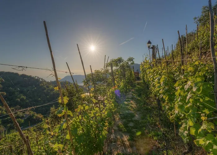 Ca Du Venuto 2 ヴェルナッツァ